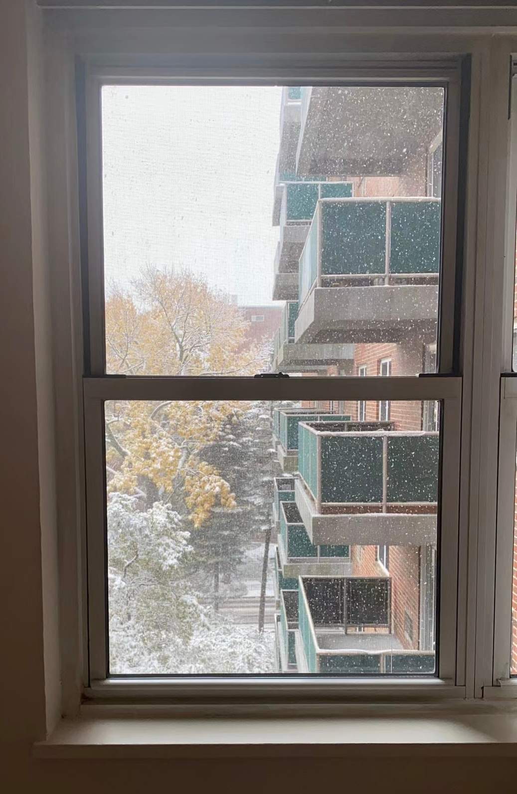 Window, Quarantine, and Connections to the World